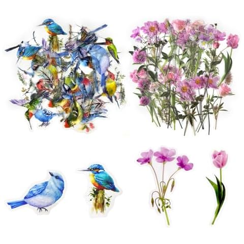 Scrapbooking Oiseaux