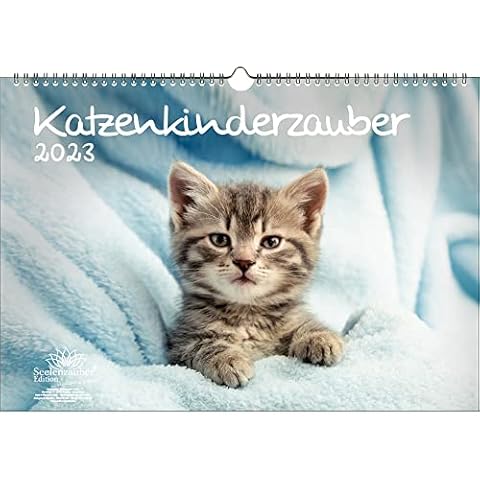 Seelenzauber thumbnail