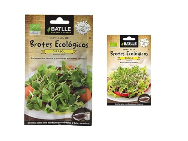 Semillas de brotes Miniatura