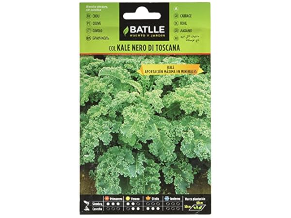 Semillas de verduras Miniatura