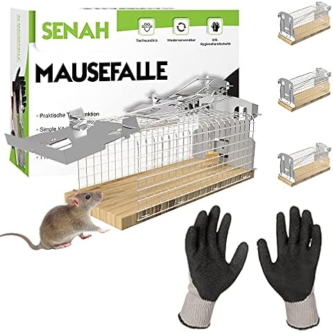 SENAH thumbnail