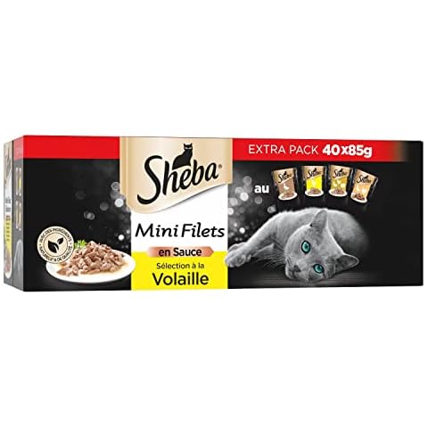 Sheba thumbnail