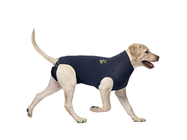 Shirts für Hunde Vorschaubild
