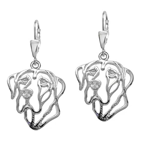 Silver paws - Stribrne tlapky thumbnail