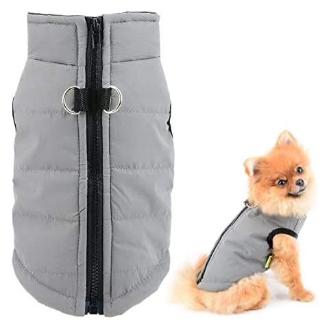 Smalllee_lucky_store thumbnail