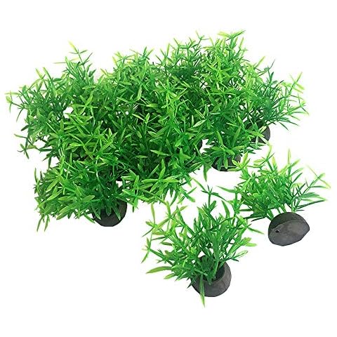 Smoothedo-Pets thumbnail