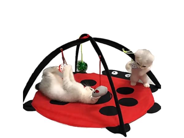 Sofás para gatos Miniatura