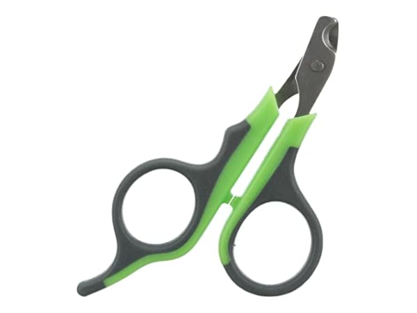 Soins des griffes pour petits animaux Vignette