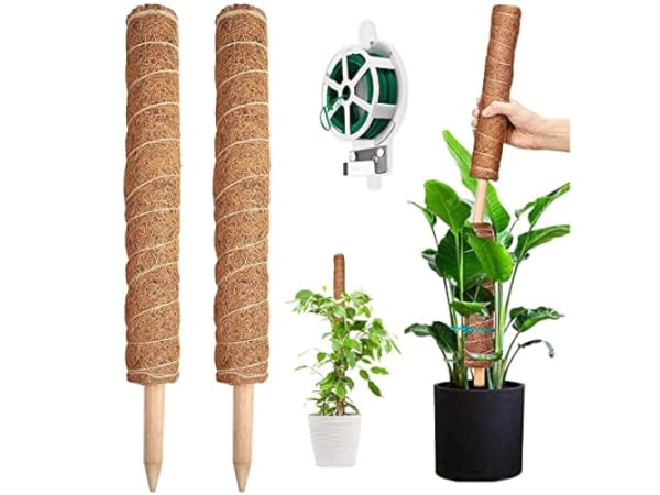 Soportes para plantas para jardín Miniatura
