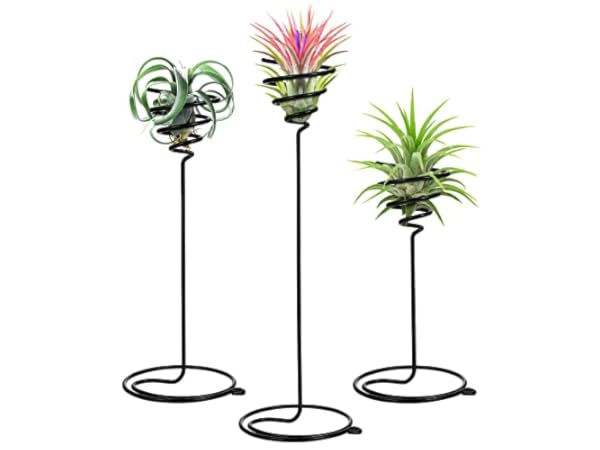 Soportes para plantas Miniatura