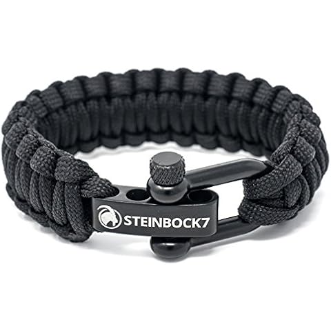 Steinbock7 thumbnail