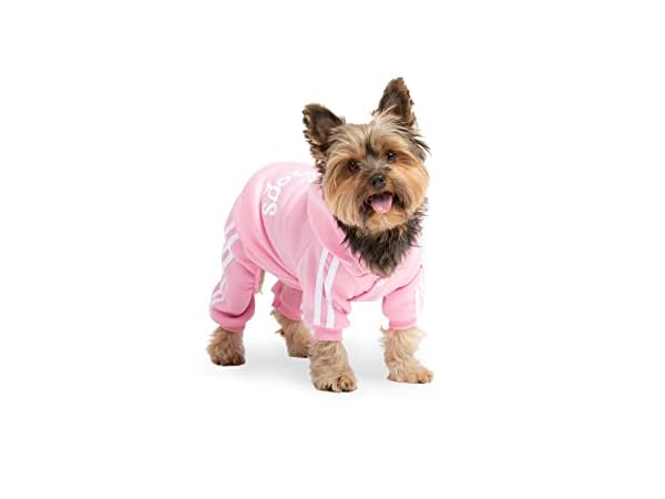 Sudaderas con capucha para perros Miniatura