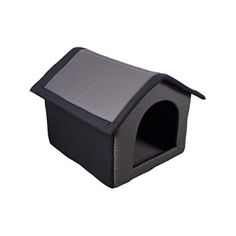 SUNNYDOGS thumbnail