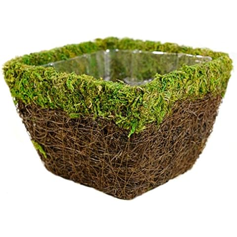 Super Moss thumbnail