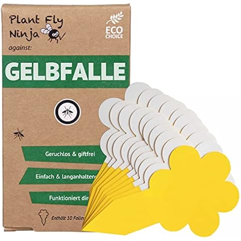 Super Ninja thumbnail