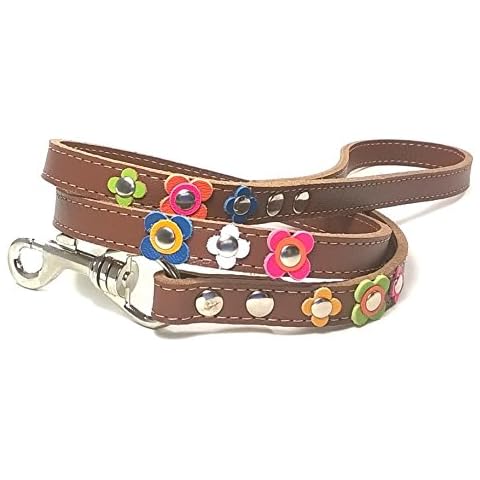 Superpipapo thumbnail