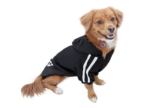 Sweater für Hunde Vorschaubild