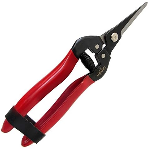 TABOR TOOLS thumbnail