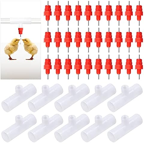 Tanstic thumbnail