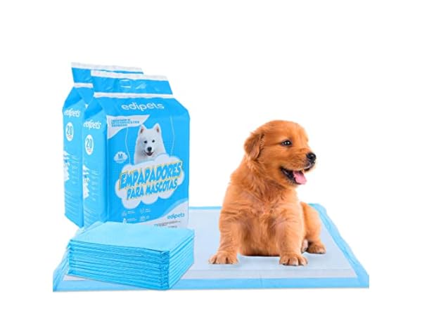 Tapis de dressage jetables pour chiens Vignette
