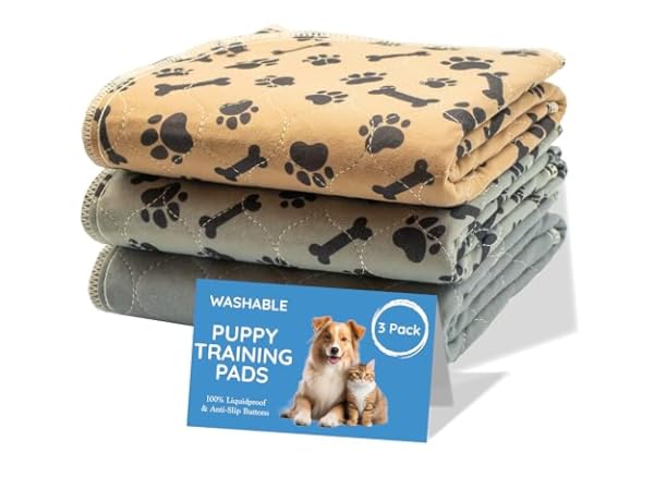 Tapis de dressage réutilisables Vignette