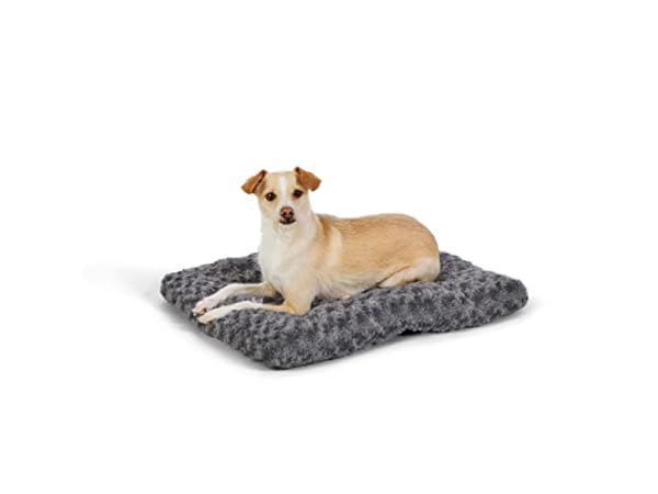 Tapis pour chiens Vignette