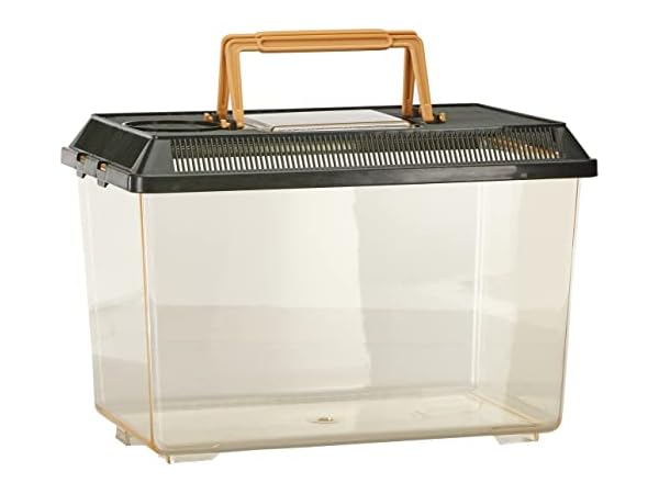 Terrarien für Reptilien & Amphibien Vorschaubild
