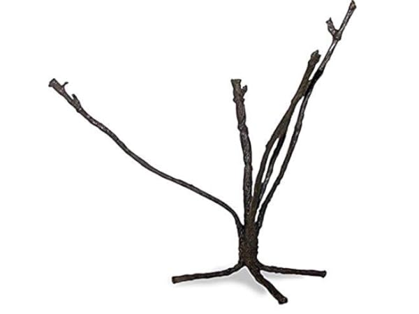 Terrarienbäume Vorschaubild