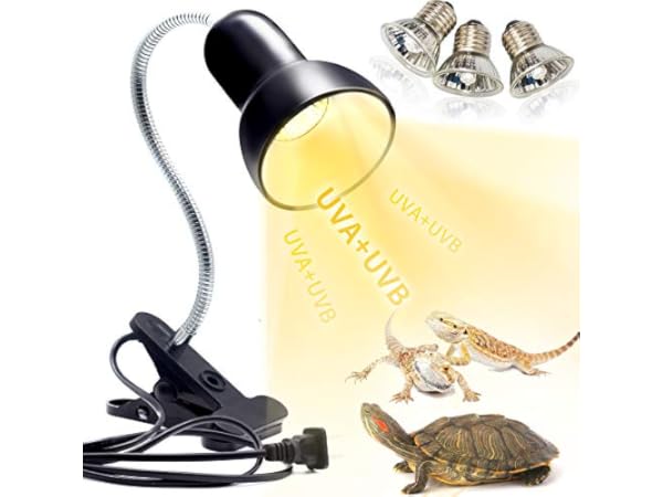 Terrarienwärmelampen Vorschaubild