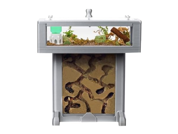 Terrariums pour insectes Vignette