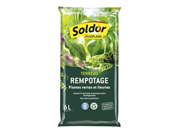 Terreaux Vignette