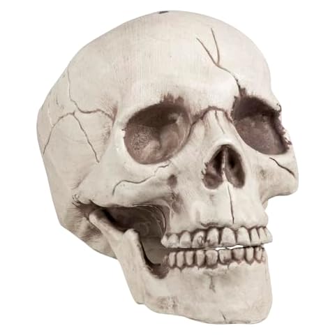 Têtes sculptées décoratives pour Halloween