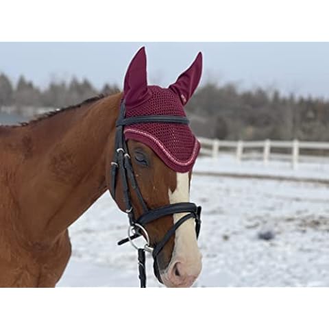 TGW RIDING thumbnail