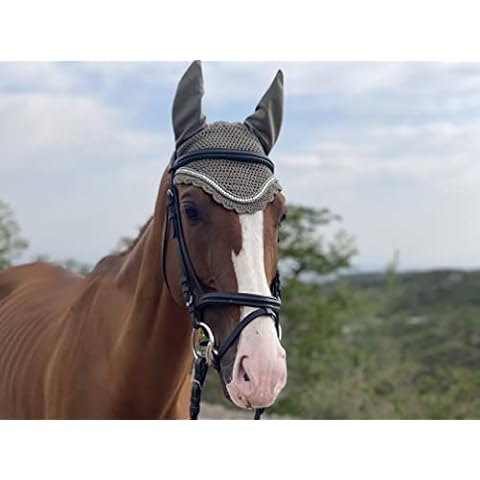 TGW RIDING thumbnail