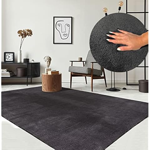 The Carpet thumbnail