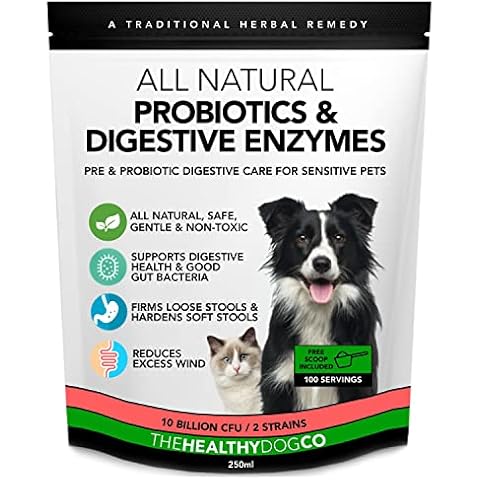 The Healthy Dog Co thumbnail