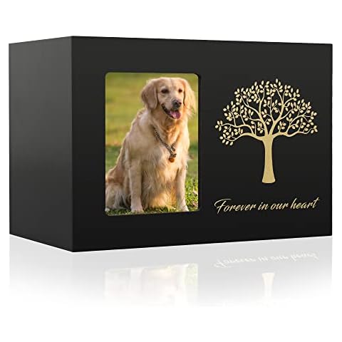 The7boX thumbnail