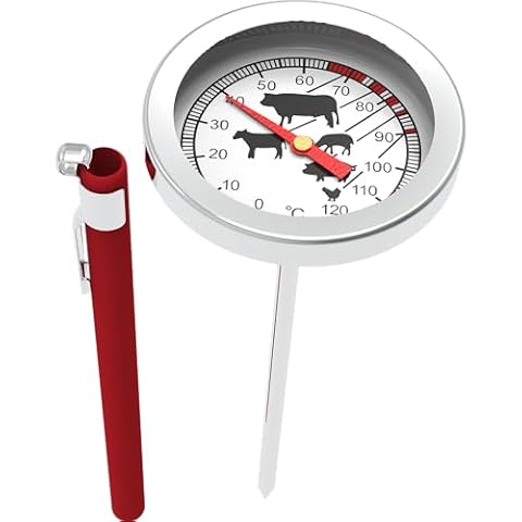 Thermomètres à viande en acier inoxydable
