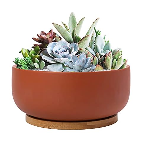 Thirtypot thumbnail