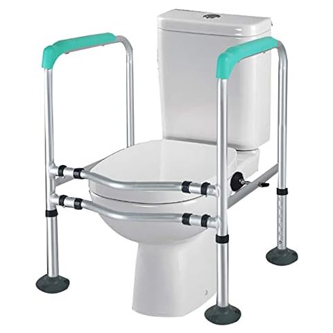 Toilet Safety Rail thumbnail