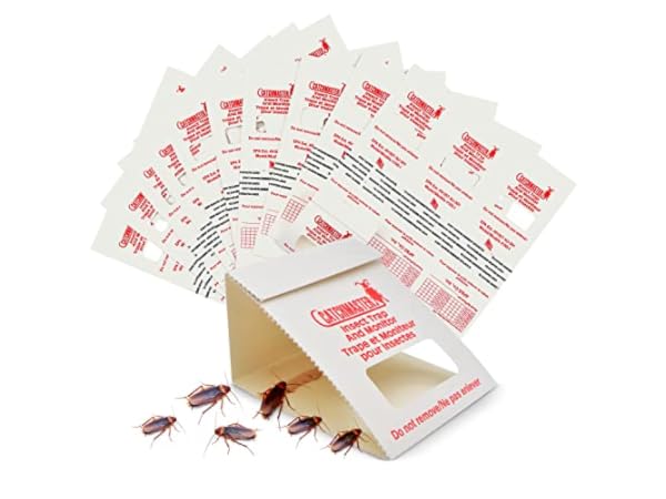 Trampas para control de plagas Miniatura