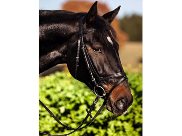 Trensenzaum-Sets Vorschaubild