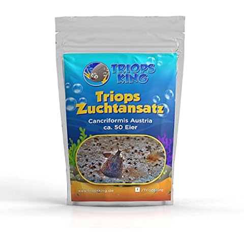 Triops King thumbnail