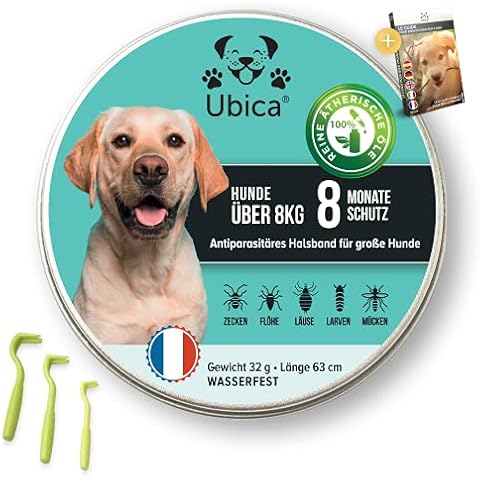 Ubica thumbnail