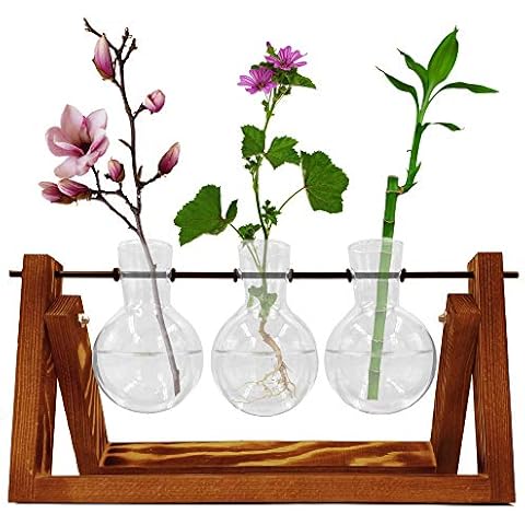Urnas modernas para plantas