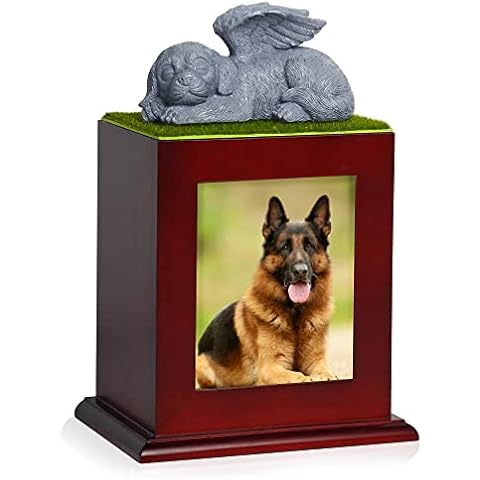 Urnas The7boX para perros
