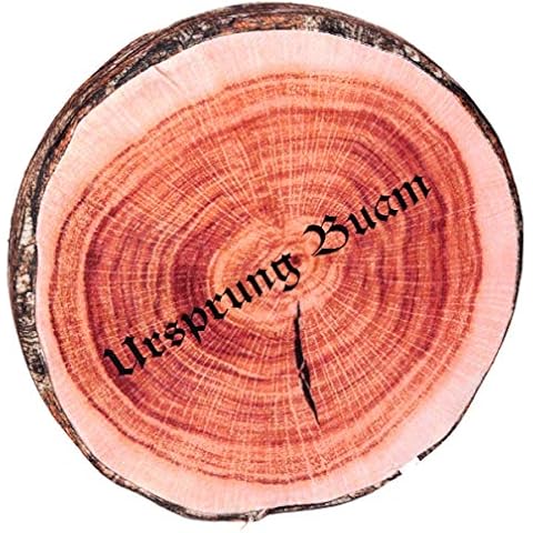 Ursprung Buam thumbnail