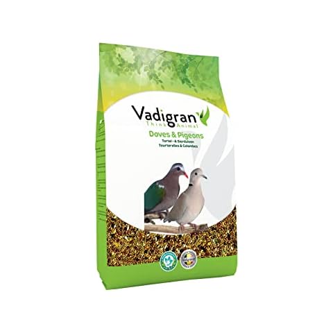 VADIGRAN thumbnail