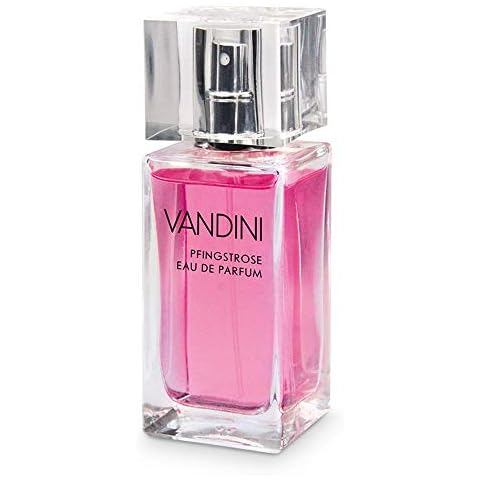 VANDINI thumbnail