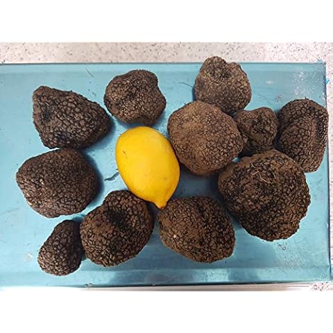 Vecchio Borgo Tartufi & Funghi thumbnail